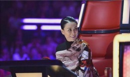 爆料那英的甄妮是谁呀视频,一场跨越时空的传奇邂逅